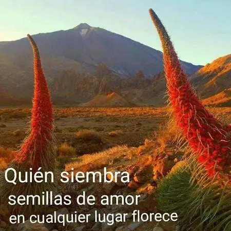 Relax Y Aventuras En El Oceano Y Las Montanas *